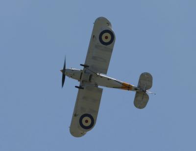 v3/11/291911/3/46312243.Nimrod_0096.jpg
