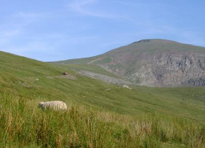 Train descending the slopes of Mt. Snowdon.