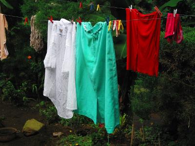 drying wash, coffee plantation