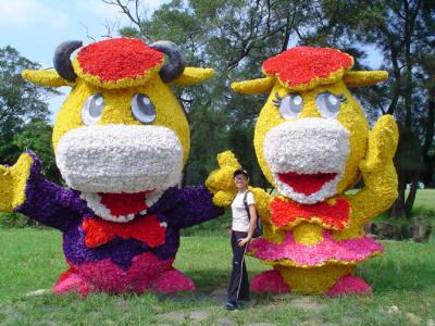 Mr. & Mrs. Cow are glad you came to Wei Quan