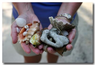 28 May 2005 - She sells sea shells.jpg