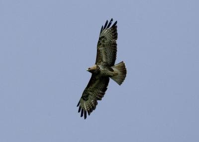 KF3A7291.jpg