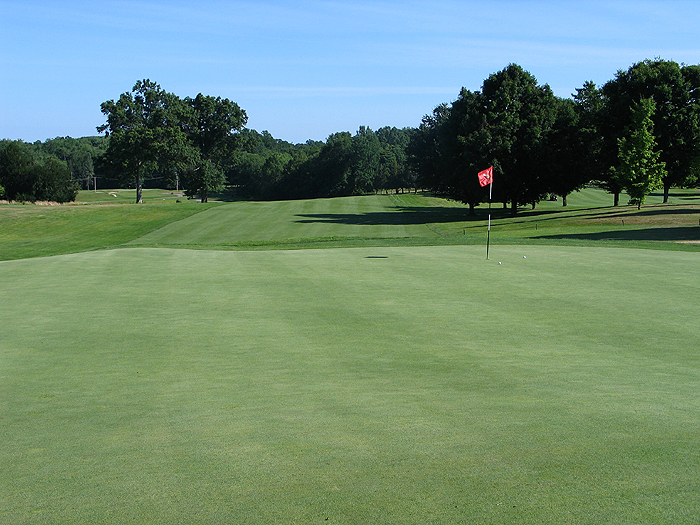 wamp_11th_green_sm.jpg