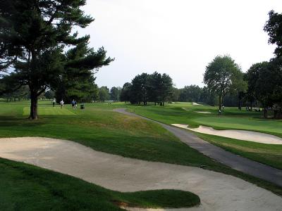 winged_back9.jpg