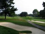 winged_back9.jpg