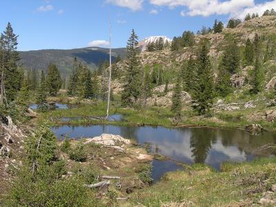 Beaver Ponds