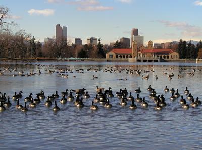 City Park