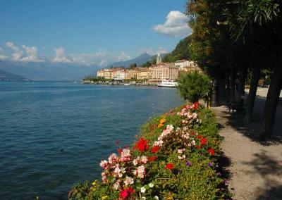 More in Bellagio