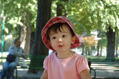 Enjoying the Playground