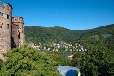 Schloss and Surrounding View