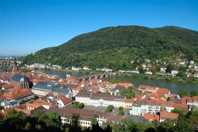 City View along River Neckar