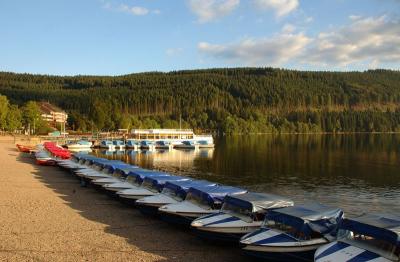 Near the Dock at Titisee