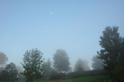 Early Morning Fog and Moon