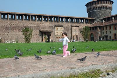 Chasing Pigeons