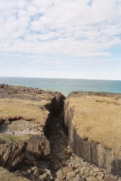 AAA016A_1.JPG