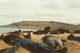 AAA019_1.JPG