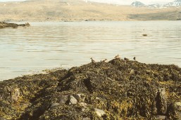 AAA028_1.JPG