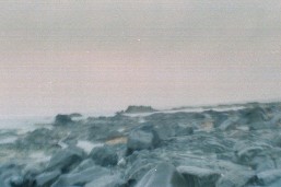 AAA031_5.JPG