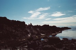 AAA036_3.JPG