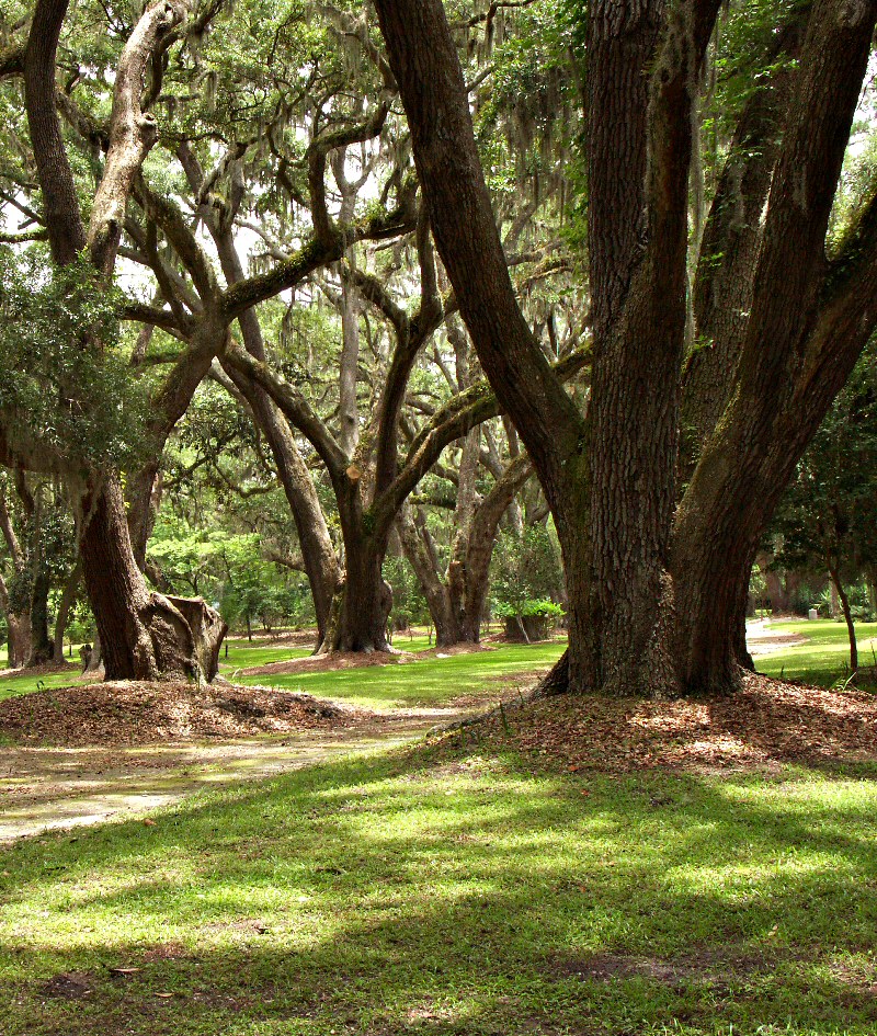 Wormsloe Plantation