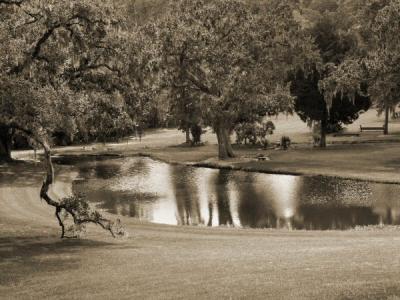 The Pond, Drayton Hall Plantation