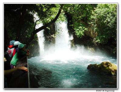 Banias waterfall