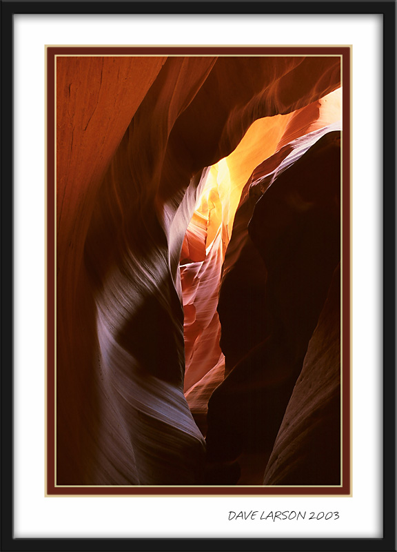 Antelope3