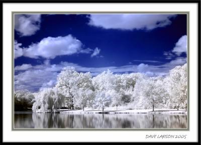 Infrared Images (Canon 300D Unmodified)