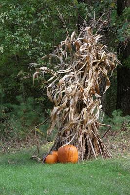 Fall-ow Me....Fall '05