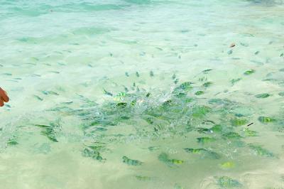 DSC_1020a.jpg
