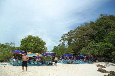 DSC_1147a.jpg