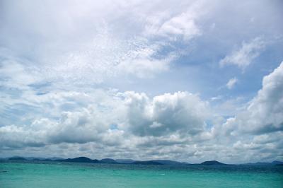 DSC_1156a.jpg