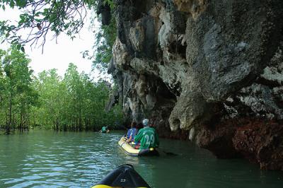 DSC_1261a.jpg