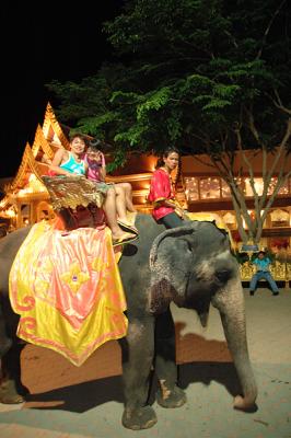 DSC_1348a.jpg