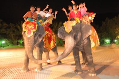 DSC_1355a.jpg