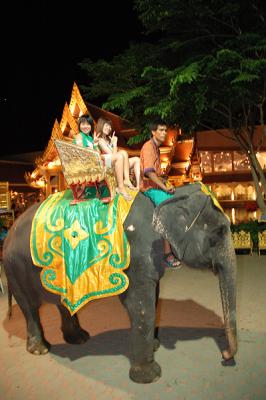 DSC_1359a.jpg
