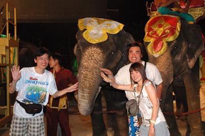 DSC_1370a.jpg