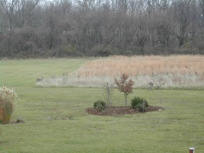 DSCN0615.JPG