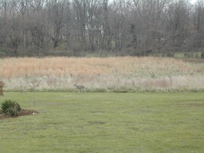 DSCN0617.JPG