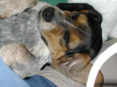 DSCN0621.JPG