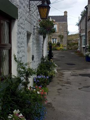 Cottage gardens