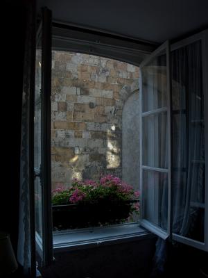 Window flowers