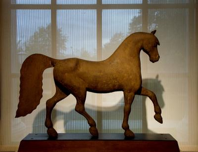 Horse by the window