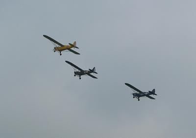 v3/12/281912/3/44931923.PiperCubd.jpg