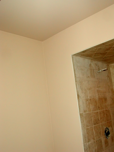 Guest Bathroom Terracotta Sand Paint Color On All Wall