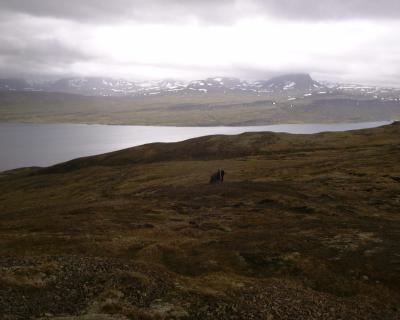 v3/12/32712/3/45286576.DSC00039.jpg