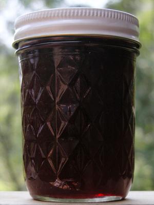 Blackberry Jelly.jpg