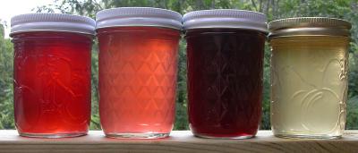  Making Jelly: Extracting the Flavor of Fruit