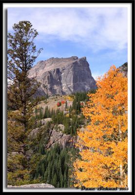 Sept 24 - A little Aspen Gold