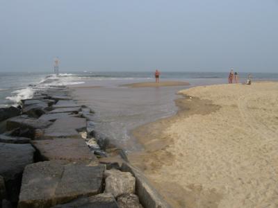 del36.jpg